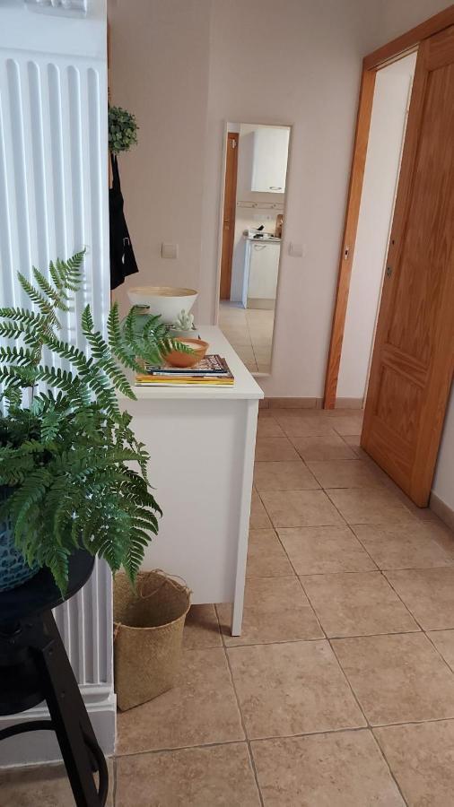 Apartament Ampolla Port L'Ampolla Zewnętrze zdjęcie